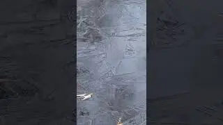 2023 Winter's First Embrace: Mesmerizing Ice Formation Pattern #amstelveen #netherlands
