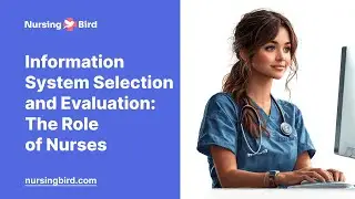 Information System Selection and Evaluation: The Role of Nurses - Essay Example