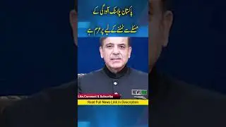 Pakistan is determined to tackle the problem of plastic pollution, Prime Minister Shehbaz Sharif