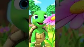 Cute Turtle Flower Spin Loop 🐢🌸 | Kids Cartoon Short