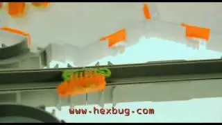 Hexbug TV Advert UK July 10.mpg