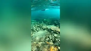 Slow down and connect with nature's tranquillity