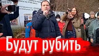 Будут рубить