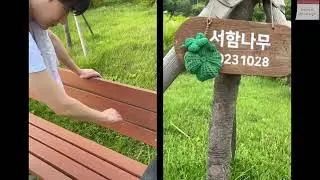 🌳월간 서함숲-SEOHAM Forest 두번째 이야기 (2024.11~2025.10)