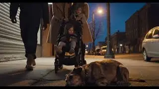 A boy help a hungry dog🥹😍 #dog #poorboy