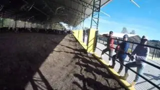 Composto de Barn
