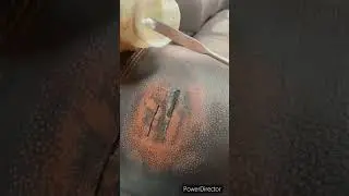Knife cut on sofa repair  #diy #howto #furniture #sofa #couches #repair #skills