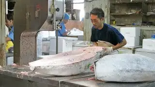Extreme Fillet Master Big Tuna Cutting Skill | Amazing Fish Processing Technology Modern Factory |