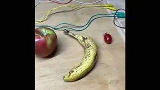 Chem 2- Semester Research Project Lab