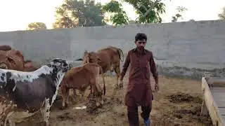 Imran Joyia ( mani 80 aaala )26 March 2021