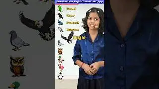 10 Birds🦜 in English | Kids English Words | Adi Keshari Connection #shorts