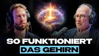 ⁠Neurobiologe erklärt: So entwickelst du echte Kreativität & Intelligenz