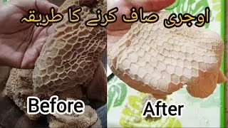 Ojri recipe /goat Intestine (how to clean goat Intestine)#food