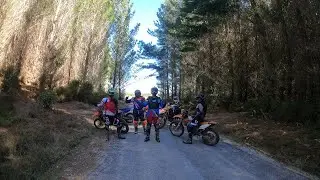 CrossyNZ