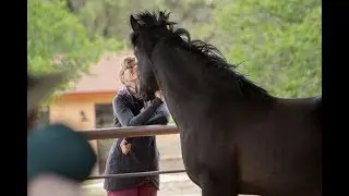 Centered Riding with Carla Bauchmueller