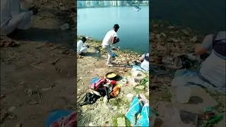 fishing in lake 🎣  #fishcatching #fish #viralfishing #shorts