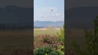 Petani gandum di Kirchberg BE Swiss 🇨🇭Juni 2023