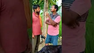 #comedy #funny #entertainment #ankit# sort video,#