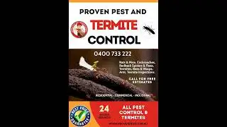 Ant Control By Proven Pest And Termite Control