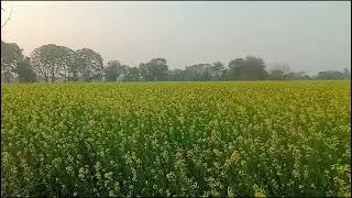 Beautiful evening 