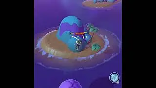 Can We Step On The Stone!? 💀