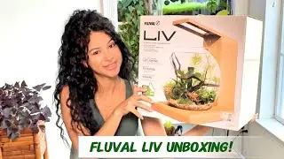 Fluval Aquatics new release the LIV microscaping aquarium kit unboxing !