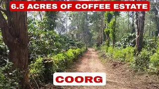 6.5 ACRES OF COFFEE ESTATE FOR SALE IN COORG. 9480957577/9483875313