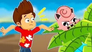 Pokemon | Catch them all! New Pokemon Go Adventure with Superzoo