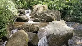 Forest Birds Chirping by a Clear River – Peaceful Nature Sounds for Deep Sleep & Relaxation