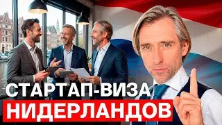 Кого ждут в Нидерландах: стартап-виза, бизнес и альтернативы в 2026