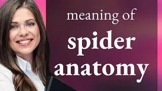 Exploring Spider Anatomy: A Guide to Understanding Arachnids