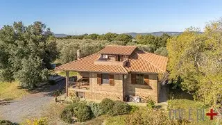 Vista dall'alto | Blera (VT), Italy | Villa con uliveto e vista sulle colline di Blera