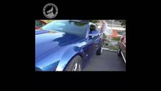 North Karelia Mustang &ndash; (Ford) Mustang Owners Club Finland vierailu Susivaarassa 5.9.2024!