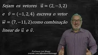 COMO ESCREVER UM VETOR COMO COMBINAÇÃO LINEAR DE OUTROS VETORES#professorluizmaggi
