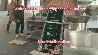 White radish slices drying scene in Hunan#food #dryer #agriculture
