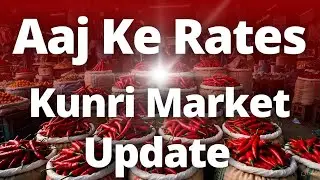 Kunri Red Chilli Market Aaj ke Rates | Hybrid Sanam, Longi Gol, Richstar Fresh Update 🔥🌶