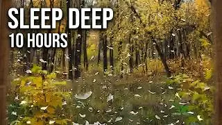 10 Hours - Tranquil Rain ASMR for Deep Sleep | Autumn Forest Rainstorm Sounds