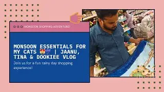 Monsoon Cat Adventure 🐱☔ | Shopping for Jaanu, Tina & Dookiee in the Rain
