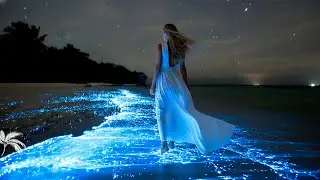 Raw Eliz - Night Flow  🌴 [Hypnotic Deep House &bull; Late Night Drive Music 2025]
