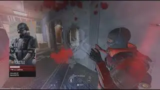 Jackdaddy carried