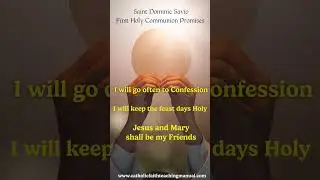 St Dominic Savio #catholicchurch #catholictheology #catechism