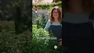 Don&rsquo;t let frost KILL your garden!