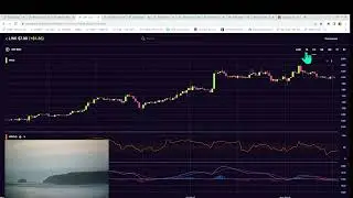 Dogecoin Mon eve