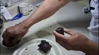 Ratoncitos De Pinguino Envinados