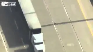 Ducks on The Freeway