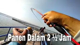 Spot Rucahan Teristimewa || Umpan Turun Langsung Strike Bertubi Tubi