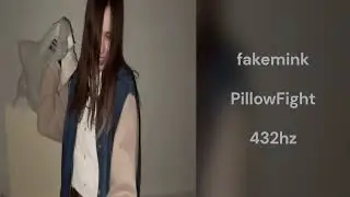 fakemink - PillowFight (432hz)