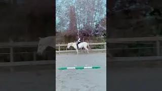 &ldquo;Julie, het is lang geleden dat we met teugels gereden hebben.&rdquo; - &ldquo;Ok&eacute; jullie mogen nog eens met teu