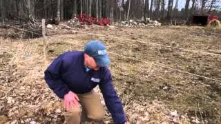 Как заморозить семена