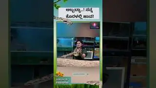 PYTHON || KNOWLEDGE ABOUT ANIMALS || BIRDS OF PARADISE || SWATHIISM